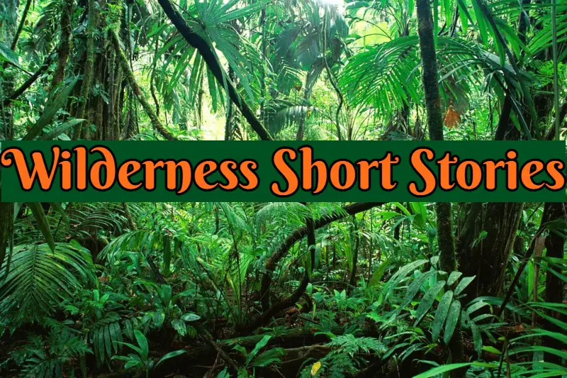 Wilderness Short Stories