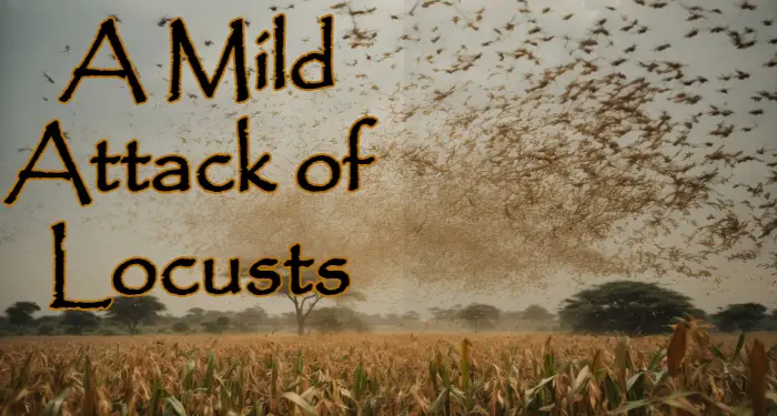 A Mild Attack of Locusts SummaryDoris Lessing Short Story Plot Synopsis